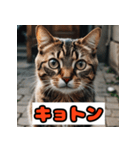楽しく感情表現できるスタンプ！（個別スタンプ：11）