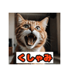楽しく感情表現できるスタンプ！（個別スタンプ：39）