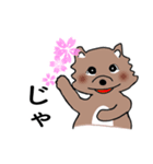 そう、日々これ好日！（個別スタンプ：11）