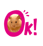 毎日まるといっしょ2（個別スタンプ：2）