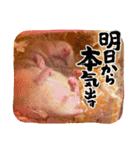 毎日まるといっしょ2（個別スタンプ：4）