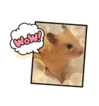 毎日まるといっしょ2（個別スタンプ：7）