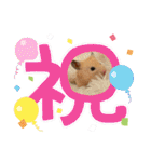 毎日まるといっしょ2（個別スタンプ：9）