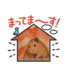 毎日まるといっしょ2（個別スタンプ：17）