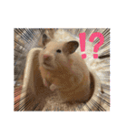 毎日まるといっしょ2（個別スタンプ：19）