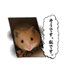 毎日まるといっしょ2（個別スタンプ：21）