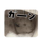 毎日まるといっしょ2（個別スタンプ：26）