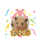 毎日まるといっしょ2（個別スタンプ：27）