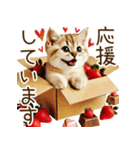 喜怒哀楽の激しい猫のいちごスタンプ♡（個別スタンプ：21）