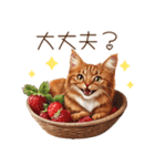 猫たちの日常♪毎日使えるスタンプ（個別スタンプ：20）