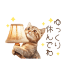 猫たちの日常♪毎日使えるスタンプ（個別スタンプ：39）