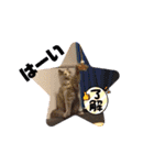 Merry＆Honeyスタンプ①猫 サイベリアン（個別スタンプ：3）