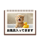 ちび猫ズ！（個別スタンプ：2）