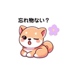 親子で使える！柴犬シンプルスタンプ（個別スタンプ：2）