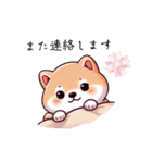 親子で使える！柴犬シンプルスタンプ（個別スタンプ：16）