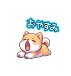 親子で使える！柴犬シンプルスタンプ（個別スタンプ：24）