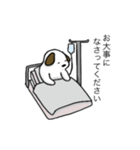 白い犬のスタンプ(敬語)（個別スタンプ：5）