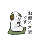 白い犬のスタンプ(敬語)（個別スタンプ：10）