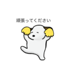 白い犬のスタンプ(敬語)（個別スタンプ：14）