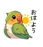 コザクラインコ チッピちゃん その1（個別スタンプ：1）