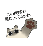 ねこぽっくるシャム 2（個別スタンプ：4）