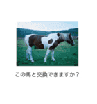 yoyn2024,daily（個別スタンプ：22）