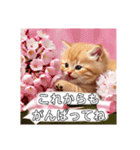 花束スタンプお祝い感謝♡猫ちゃん（個別スタンプ：5）