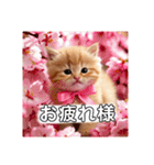 花束スタンプお祝い感謝♡猫ちゃん（個別スタンプ：7）