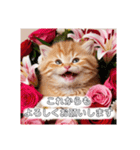 花束スタンプお祝い感謝♡猫ちゃん（個別スタンプ：8）