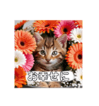 花束スタンプお祝い感謝♡猫ちゃん（個別スタンプ：19）