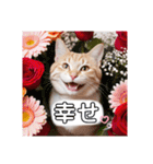 花束スタンプお祝い感謝♡猫ちゃん（個別スタンプ：20）