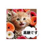 花束スタンプお祝い感謝♡猫ちゃん（個別スタンプ：23）