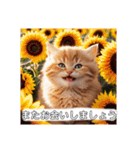 花束スタンプお祝い感謝♡猫ちゃん（個別スタンプ：24）