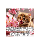 花束スタンプお祝い感謝♡猫ちゃん（個別スタンプ：27）