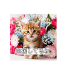 花束スタンプお祝い感謝♡猫ちゃん（個別スタンプ：30）