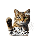 讃岐弁を話す猫・イサム（個別スタンプ：3）