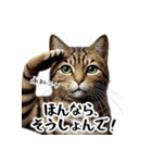 讃岐弁を話す猫・イサム（個別スタンプ：5）