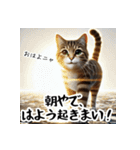 讃岐弁を話す猫・イサム（個別スタンプ：6）