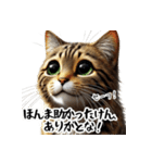 讃岐弁を話す猫・イサム（個別スタンプ：14）