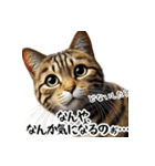 讃岐弁を話す猫・イサム（個別スタンプ：17）