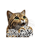 讃岐弁を話す猫・イサム（個別スタンプ：20）