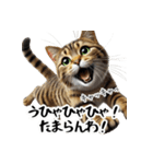 讃岐弁を話す猫・イサム（個別スタンプ：21）