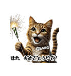 讃岐弁を話す猫・イサム（個別スタンプ：35）