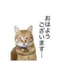 テンちゃんと。（個別スタンプ：2）