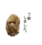 テンちゃんと。（個別スタンプ：7）