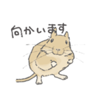 ちょいデフォデグースタンプ（サンド）（個別スタンプ：2）