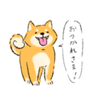 犬の気持ち♡柴犬・赤柴（個別スタンプ：9）