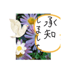 くまのどんちゃん（個別スタンプ：40）