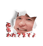 はじめまして画面われたです（個別スタンプ：1）