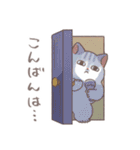 猫のトミー春スタンプ（個別スタンプ：17）